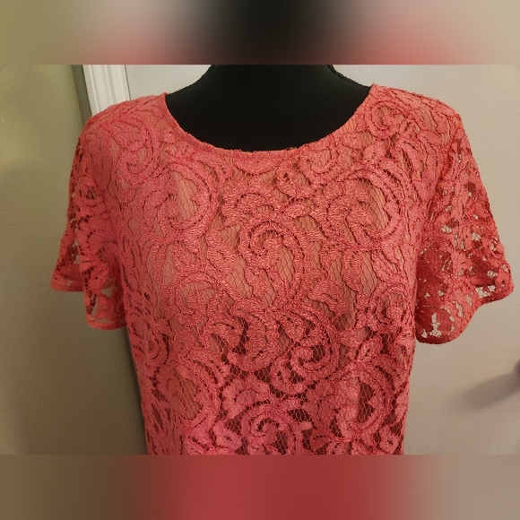 Ann Taylor Pink Laced Dress 10 - Picture 4 of 6